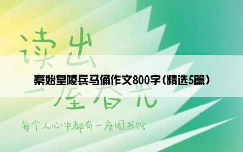 秦始皇陵兵马俑作文800字(精选5篇)