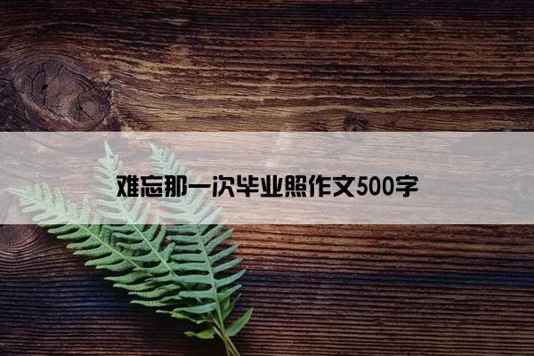 难忘那一次毕业照作文500字