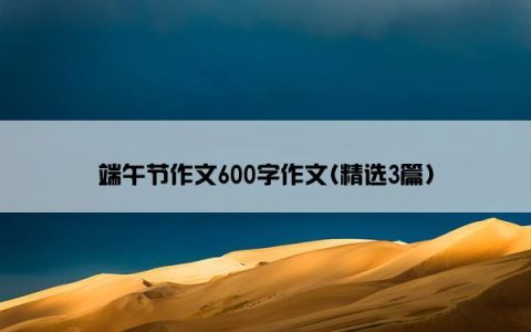 端午节作文600字作文(精选3篇)