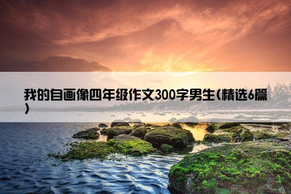 我的自画像四年级作文300字男生(精选6篇)