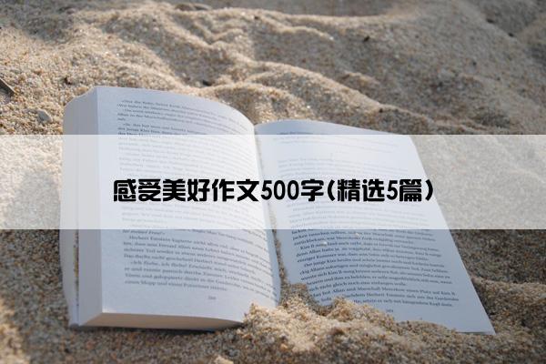 感受美好作文500字(精选5篇)