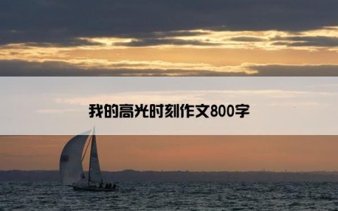 我的高光时刻作文800字