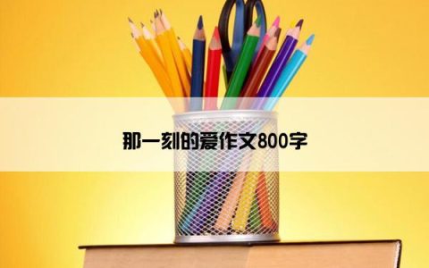 那一刻的爱作文800字