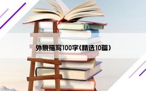 外貌描写100字(精选10篇)