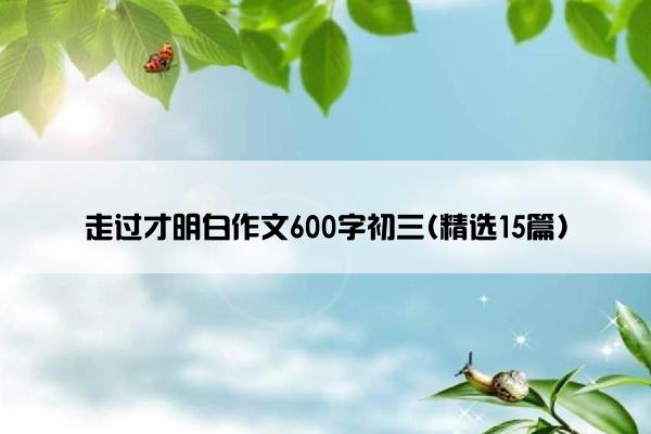 走过才明白作文600字初三(精选15篇)