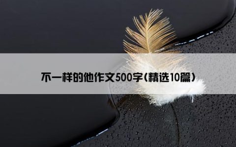 不一样的他作文500字(精选10篇)