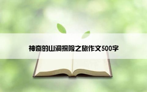 神奇的山洞探险之旅作文500字