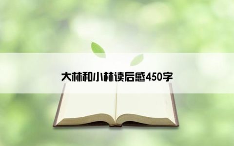 大林和小林读后感450字