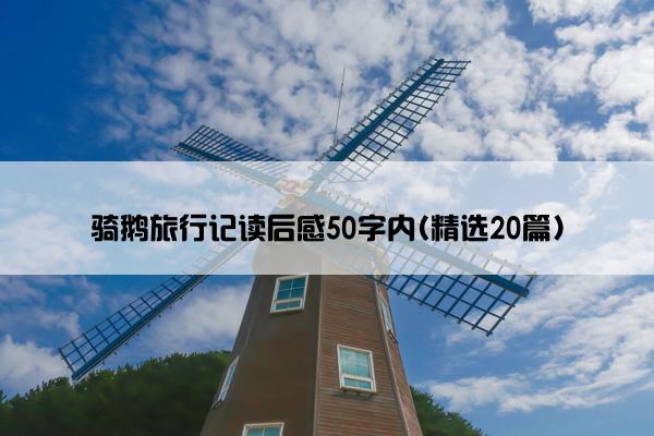 骑鹅旅行记读后感50字内(精选20篇)