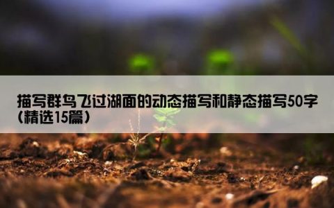 描写群鸟飞过湖面的动态描写和静态描写50字(精选15篇)