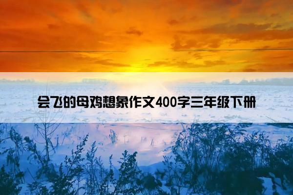 会飞的母鸡想象作文400字三年级下册