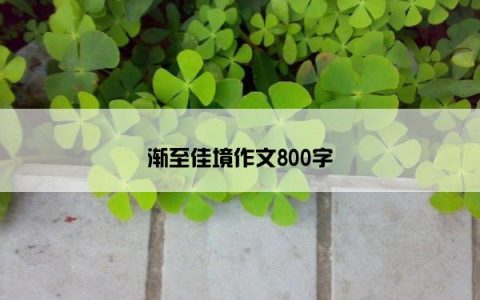 渐至佳境作文800字