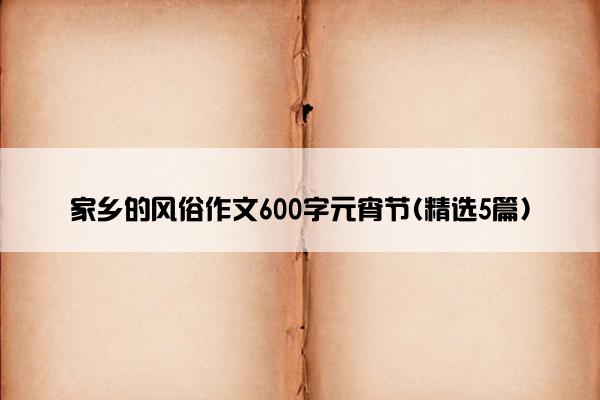 家乡的风俗作文600字元宵节(精选5篇)