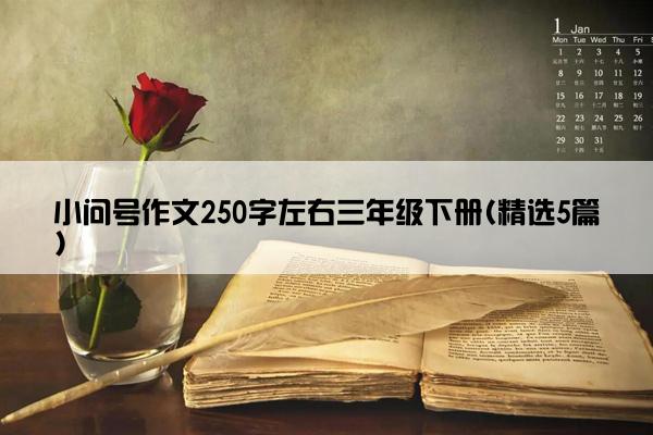 小问号作文250字左右三年级下册(精选5篇)