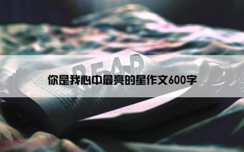 你是我心中最亮的星作文600字