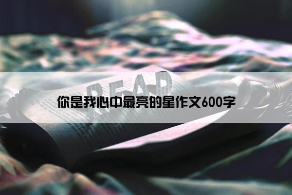 你是我心中最亮的星作文600字