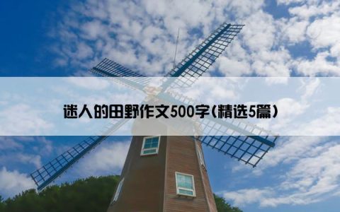 迷人的田野作文500字(精选5篇)