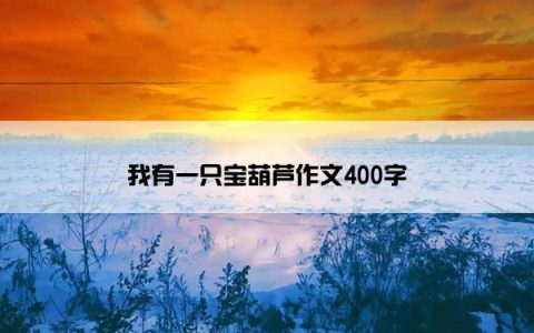 我有一只宝葫芦作文400字