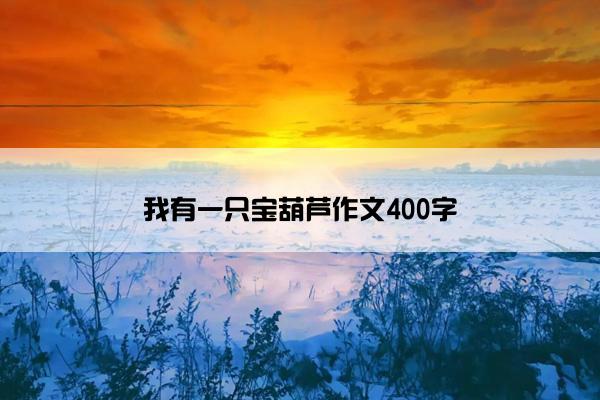 我有一只宝葫芦作文400字