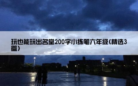 玩也能玩出名堂200字小练笔六年级(精选3篇)