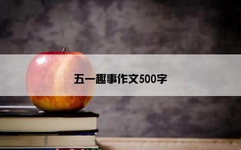 五一趣事作文500字