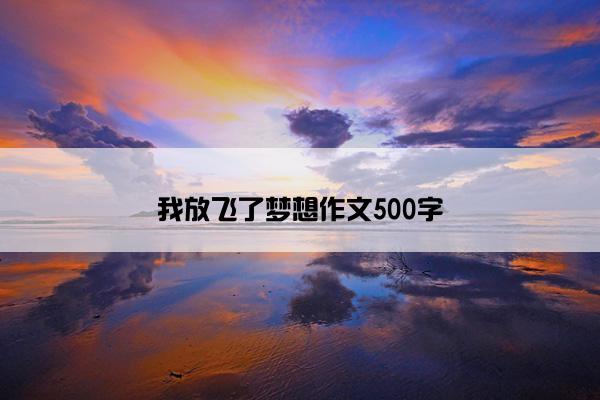 我放飞了梦想作文500字