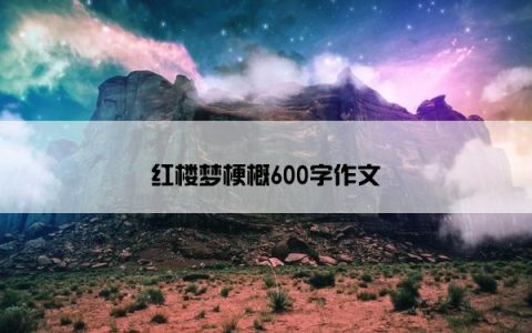 红楼梦梗概600字作文