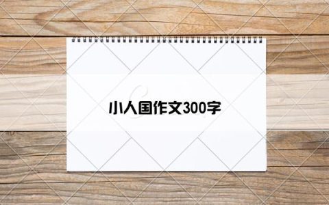 小人国作文300字