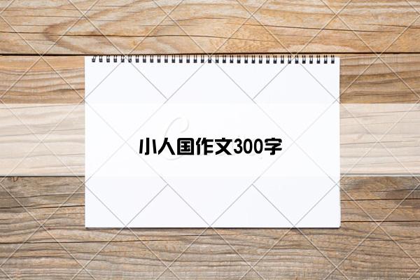 小人国作文300字