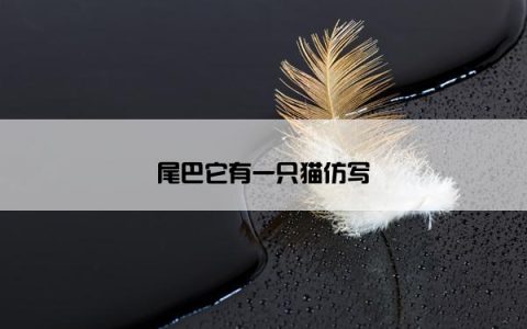 尾巴它有一只猫仿写