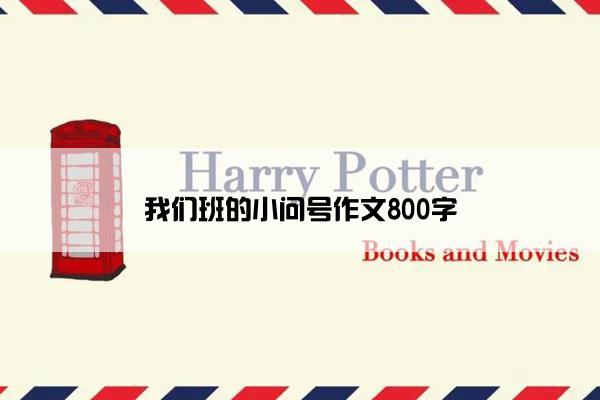 我们班的小问号作文800字