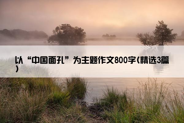 以“中国面孔”为主题作文800字(精选3篇)