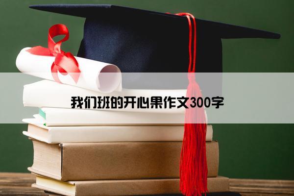 我们班的开心果作文300字