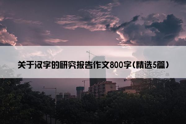 关于汉字的研究报告作文800字(精选5篇)