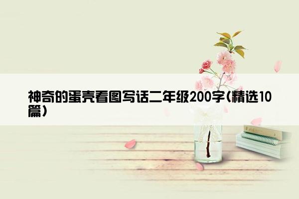 神奇的蛋壳看图写话二年级200字(精选10篇)