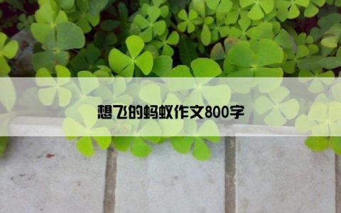 想飞的蚂蚁作文800字