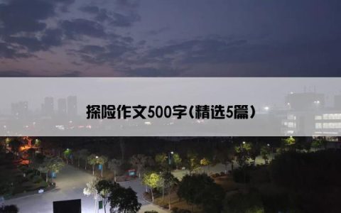 探险作文500字(精选5篇)