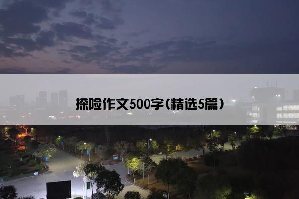 探险作文500字(精选5篇)