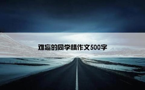 难忘的同学情作文500字