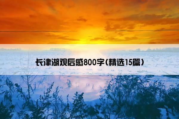 长津湖观后感800字(精选15篇)