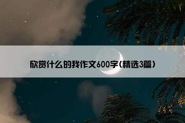 欣赏什么的我作文600字(精选3篇)