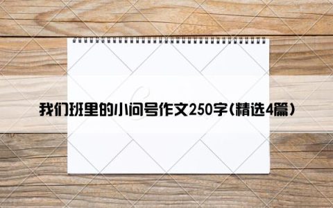 我们班里的小问号作文250字(精选4篇)