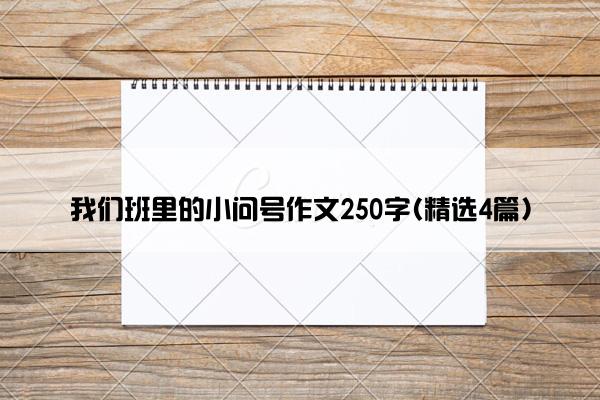 我们班里的小问号作文250字(精选4篇)