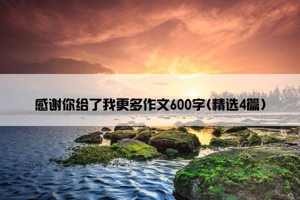 感谢你给了我更多作文600字(精选4篇)