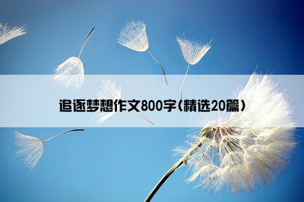 追逐梦想作文800字(精选20篇)