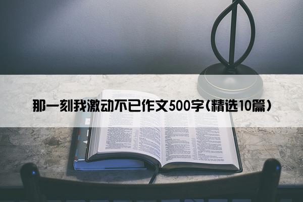 那一刻我激动不已作文500字(精选10篇)