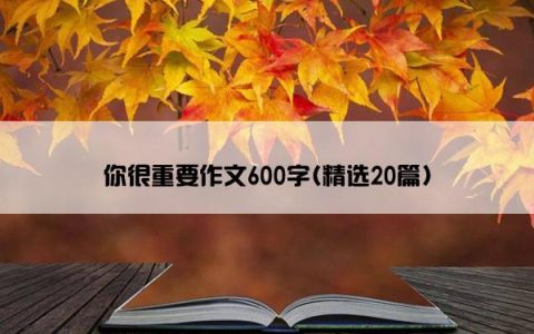 你很重要作文600字(精选20篇)