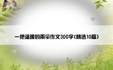 一把温暖的雨伞作文300字(精选10篇)