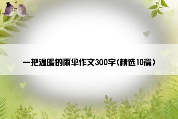 一把温暖的雨伞作文300字(精选10篇)