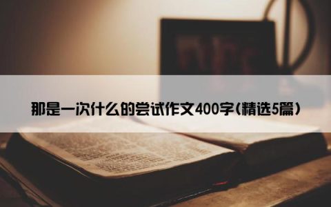 那是一次什么的尝试作文400字(精选5篇)